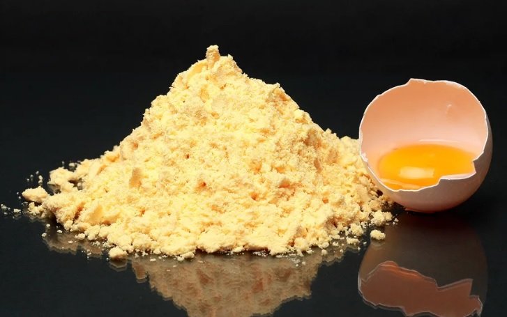 Egg Yolk powder for food products